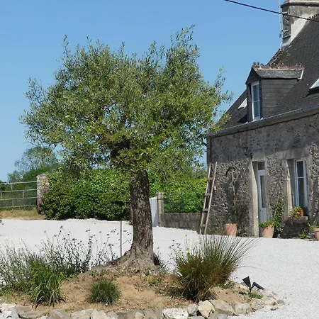 Tatil Evi Ode A La Nature